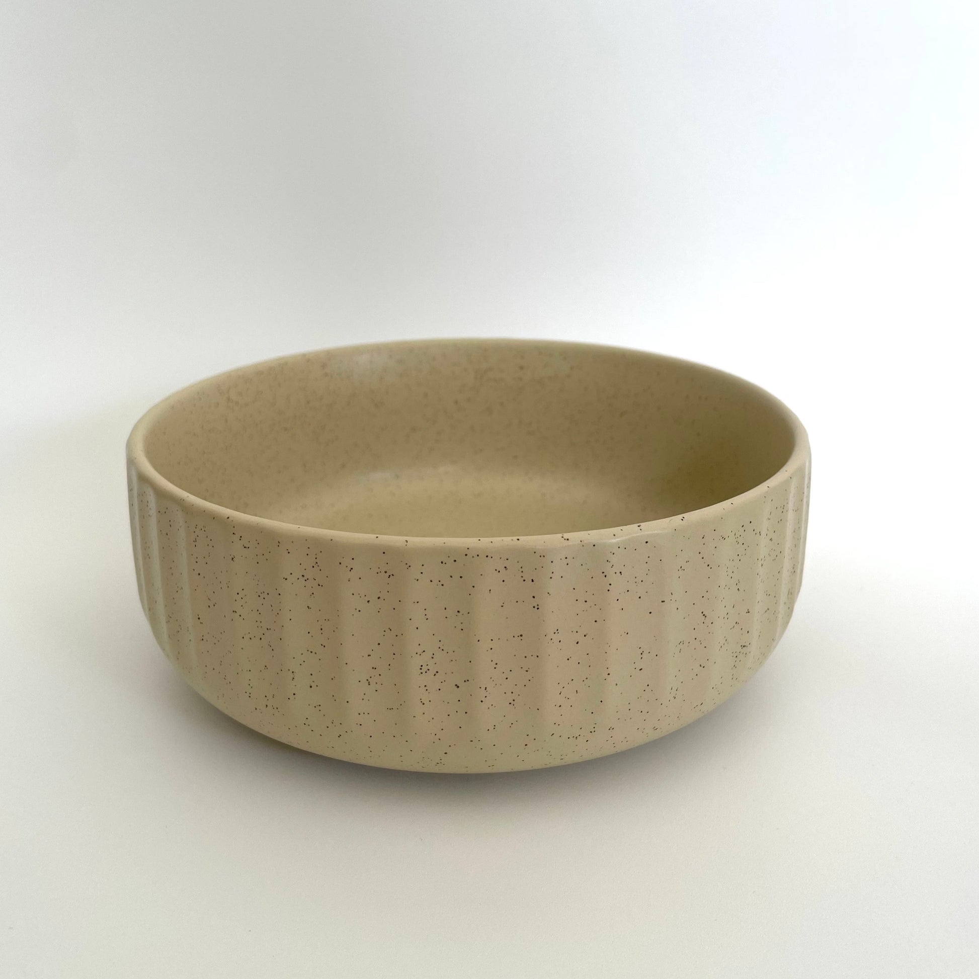 ceramic dog bowl