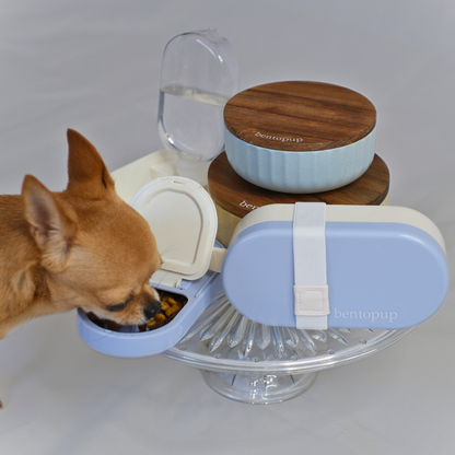 portable bowl for dogs